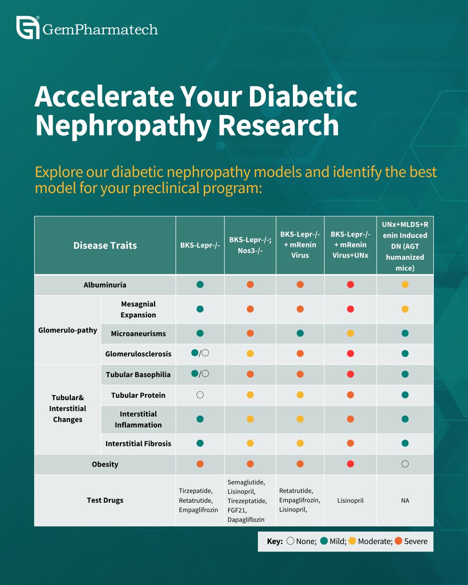 The complexity of Diabetic Nephropathy (DN), driven by both chronic hyperglycemia and systemic hypertension, has long hindered therapeutic development. GemPharmatech has developed two progressive diabetic kidney disease #mousemodels to support DN research: buff.ly/oMa5ztG