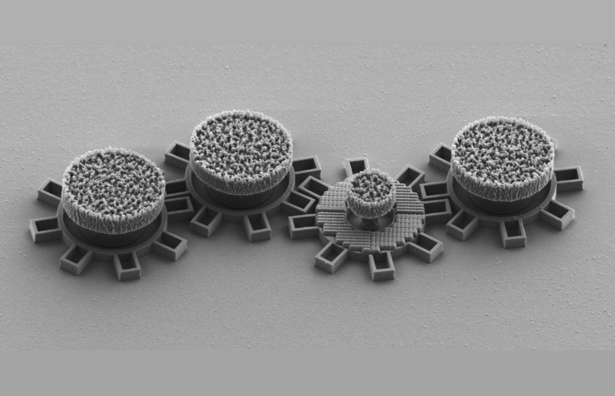 scinexx's tweet photo. Bild der Woche: Lichtbetriebene Winzlinge. Neu entwickelte Zahnräder sind feiner als menschliche Haare. #Getriebe #Zahnrad #Metamaterial #Laser #Lichtantrieb
https://t.co/9zBXXAbI1e https://t.co/pOaNDfDulS