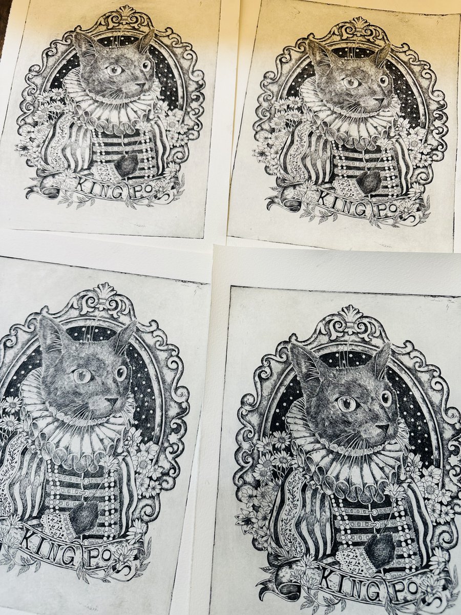 花を食べようとする友人宅の猫
 『Trying to eat a Flower』

#銅版画 #copperengraving #copperprint #etching 