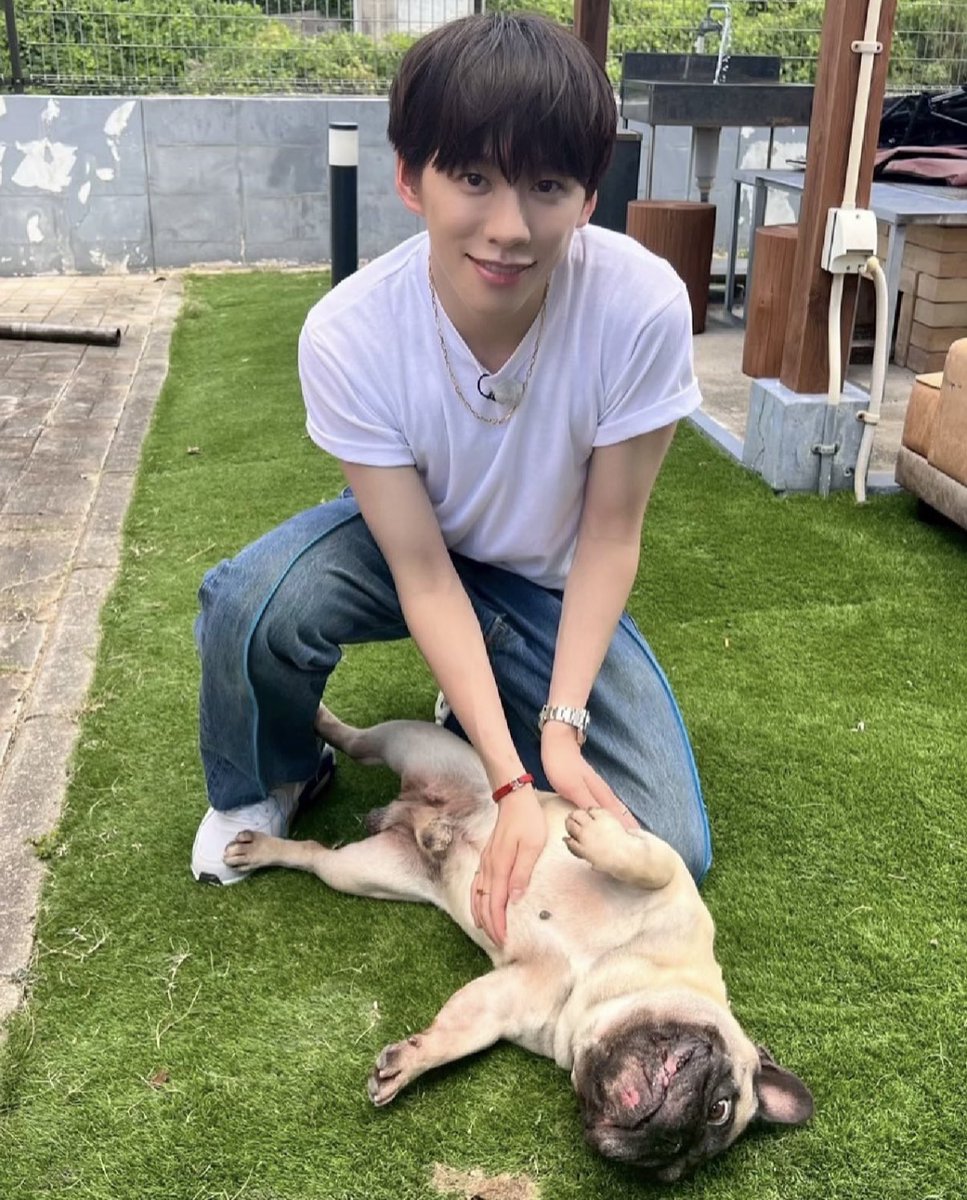 どっちがわんちゃん？