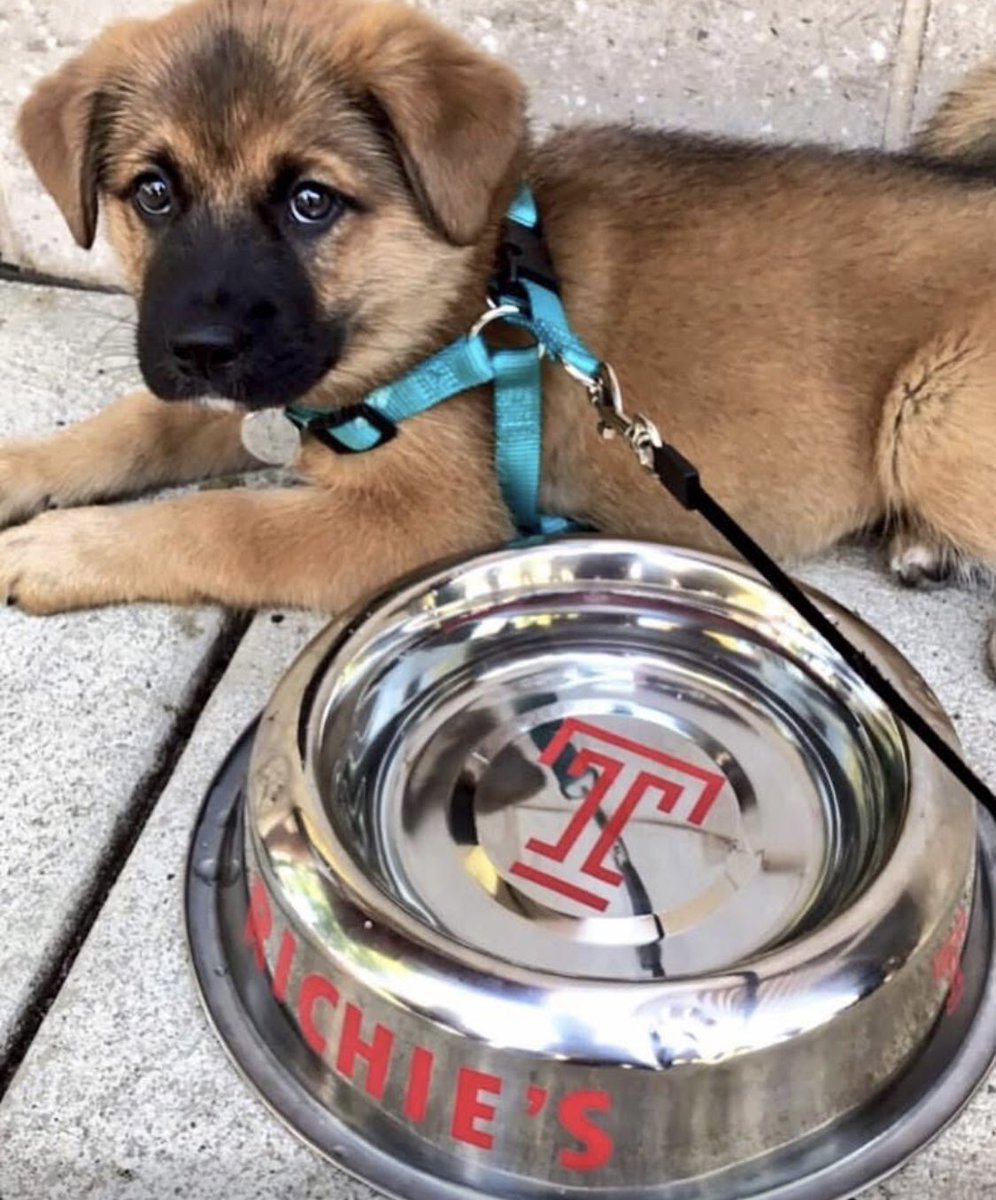 Richie's tweet media