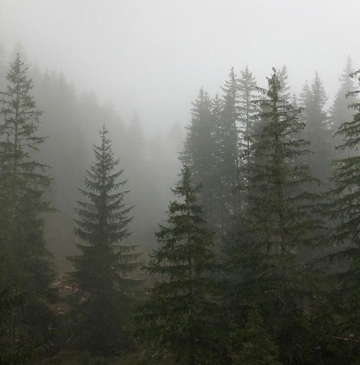 𝕰𝖑𝖊𝖒𝖒𝖎𝖗𝖊 tweet media