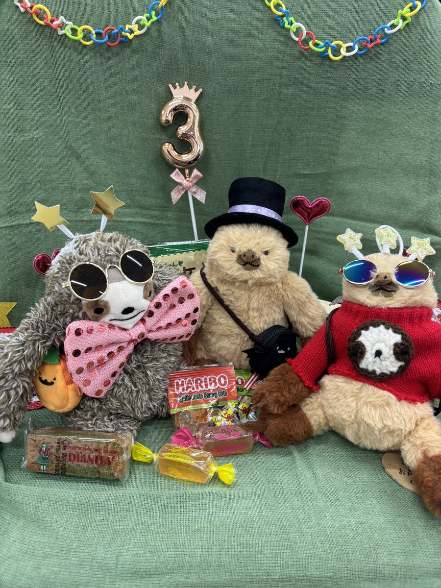 ナマケこモノ🦥 (@namakecomono) / Posts / X