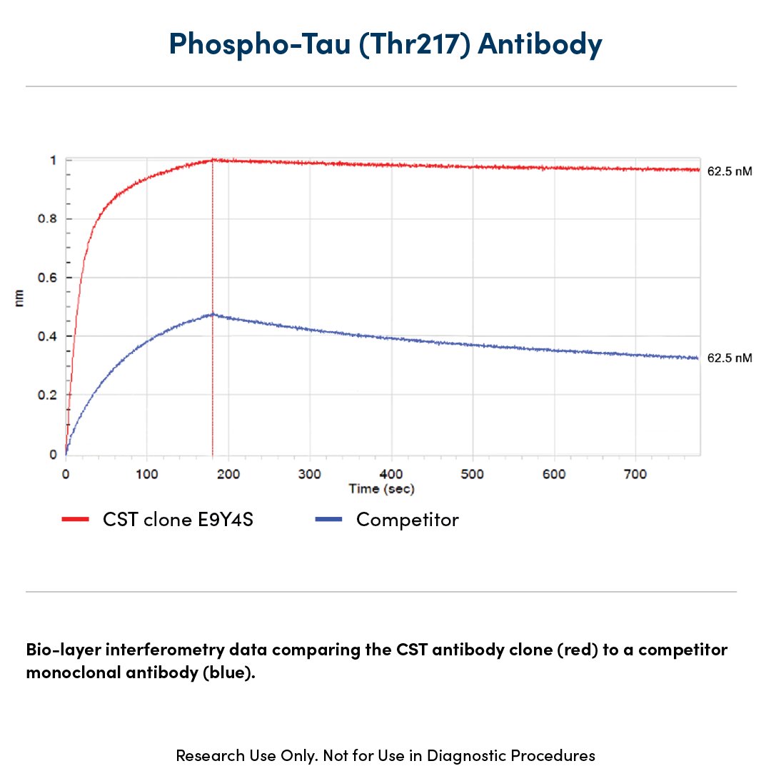 CellSignal's tweet image. Better binding kinetics, faster association, and more stable binding—our Phospho-Tau (Thr217) (E9Y4S) Rabbit mAb outperforms the competitors’.

Choose from multiple formats to suit your exact assay needs ✅

hubs.ly/Q03FY2zZ0