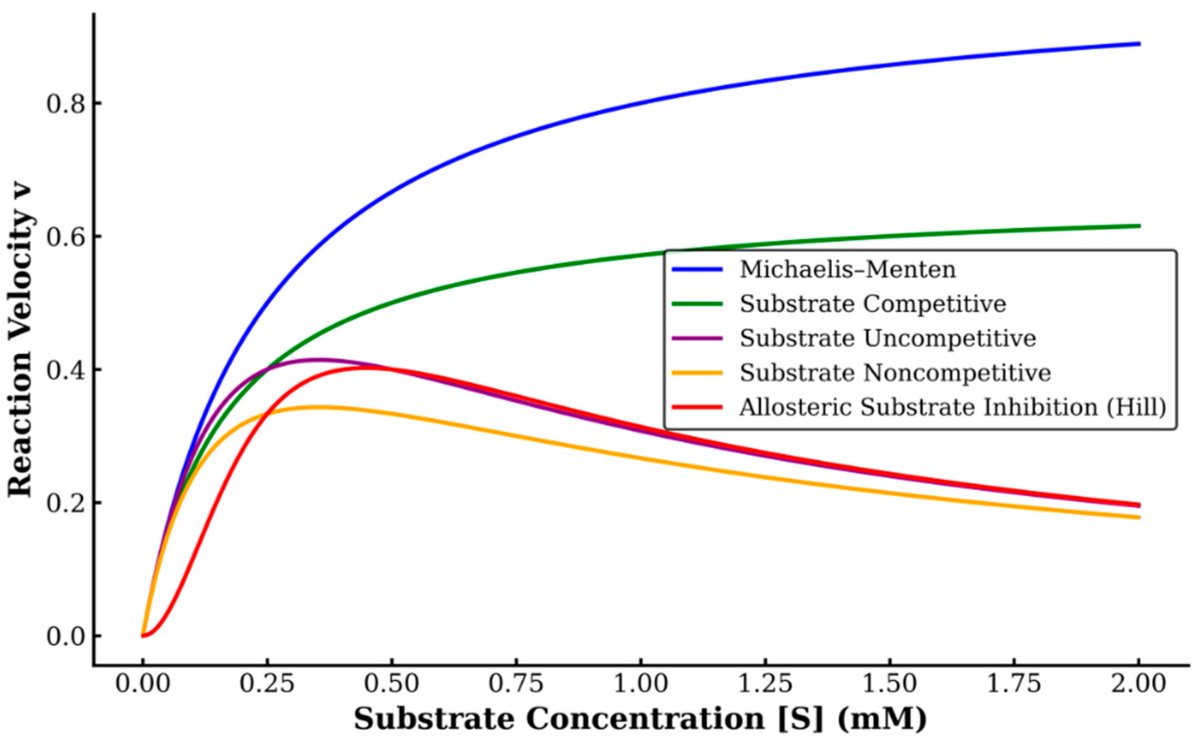 🔉Welcome to read the published paper

📌Substrate Inhibition in Myoglobin and Hemoglobin: Kinetic Insights into Pseudo-Peroxidase Activity

🎓By Kade Sutherland, Daniel Scott et al. from Utah Valley University College of Science, USA

🔎Learn more at: mdpi.com/2673-9623/5/3/…