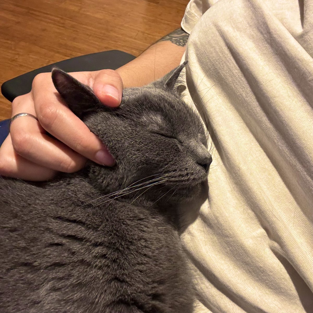 just a butch and his emotional support rat