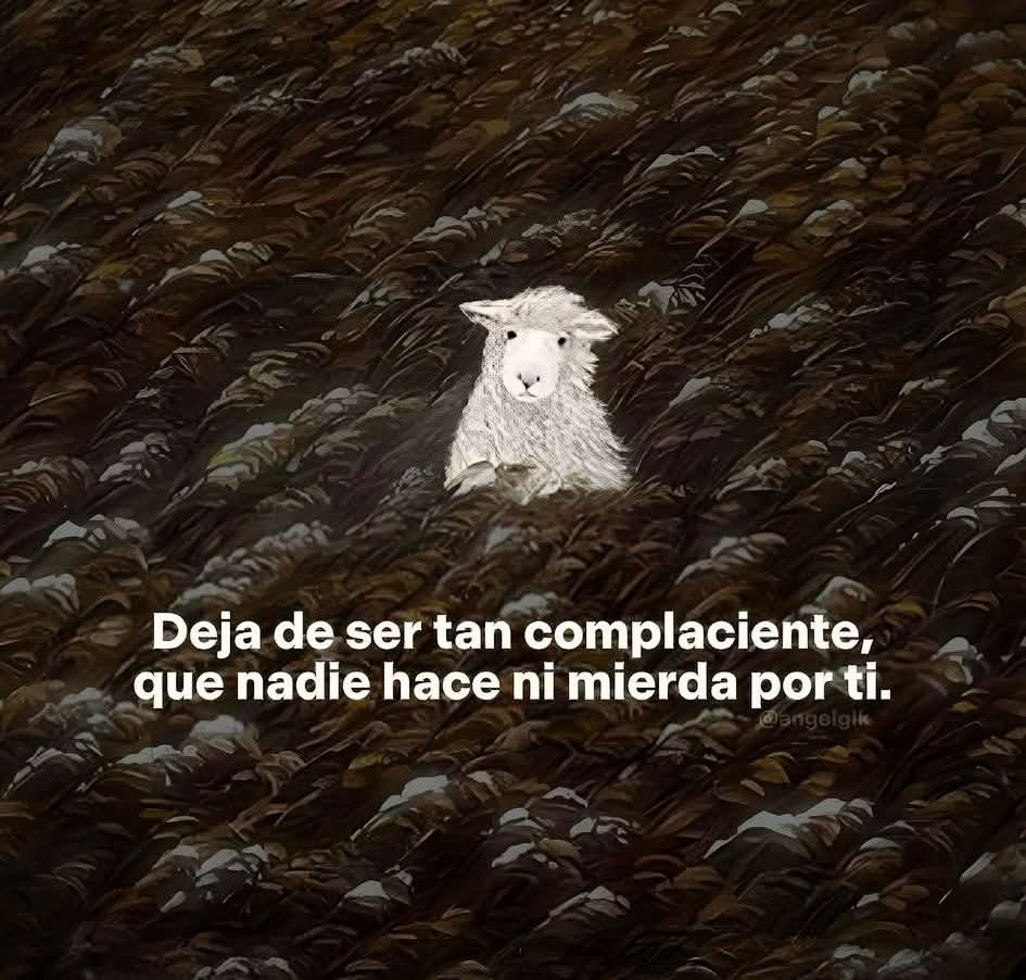 🌙 mini textos (@soyminitextos) on Twitter photo 