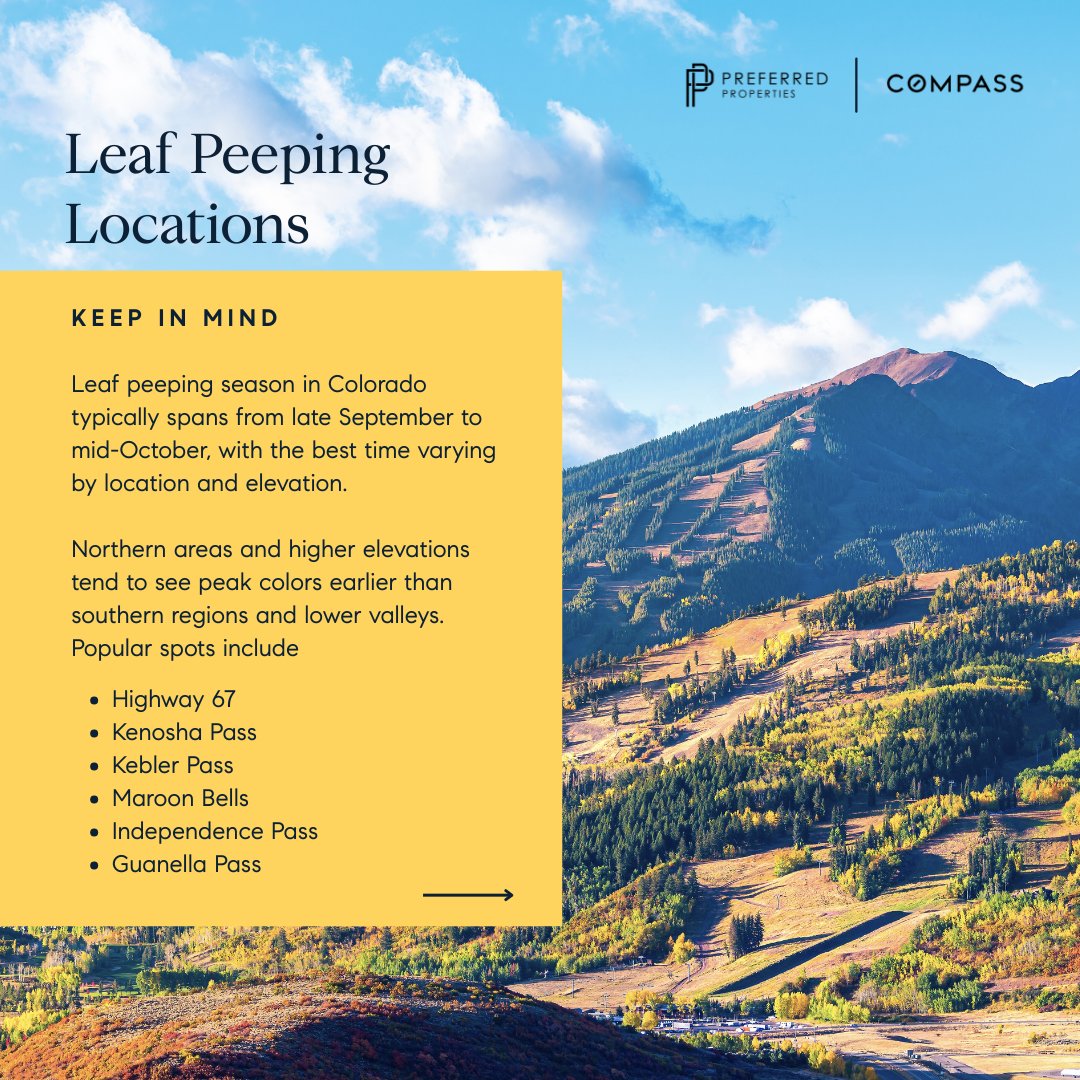 RealtorRoseanne's tweet image. 🏞️ A trip up to a high-country lake sounds wonderful right now. Here are a few favorites.       
.
#coloradosummer #coloradolakes #roseanneruiz #compassdenver #relocatingtodenver #movingtodenver #compassagents #denver