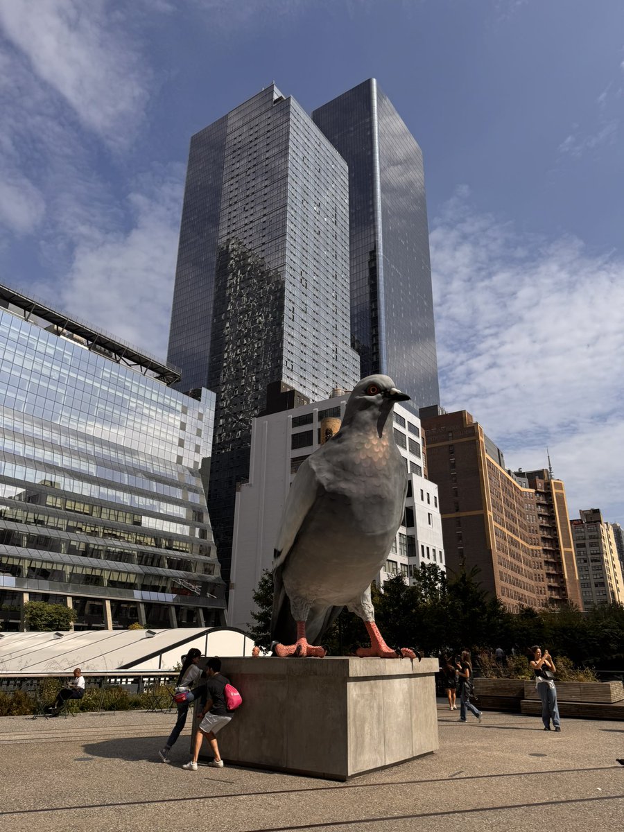 Mais c’est qui le pigeon! 
<a href="/TF1/">TF1</a> une série de 20’ et au milieu pas 1 pas 2 pas 5 pas 10 …. 12 pubs ! 😤🤯🤑