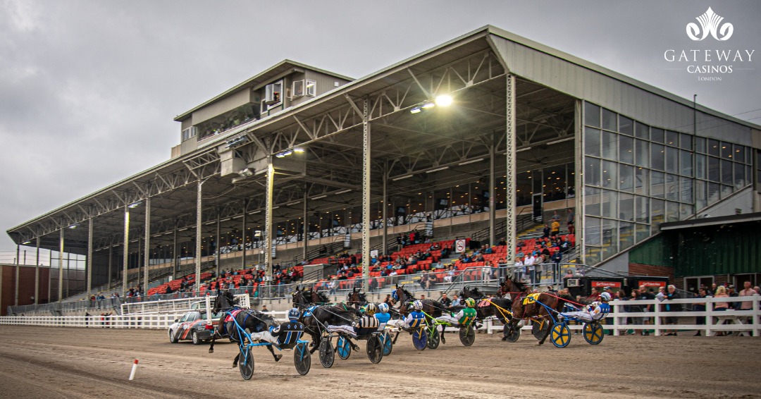 🐴✨ The countdown is on… LIVE RACING RETURNS October 3!
Opening Night, presented by Gateway Casinos, kicks off the fall season at The Raceway!

🍽️ Doors open 5 PM
🐴 First race 5:50 PM

For more info please visit: bit.ly/46wPusN