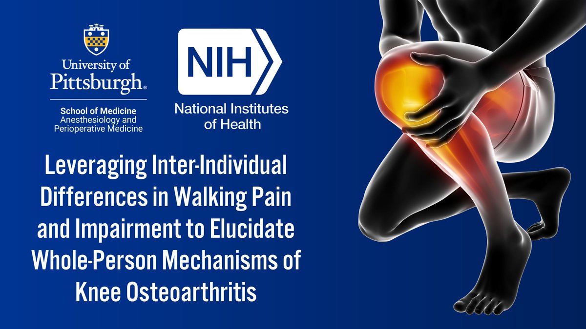 📰🔍 We are thrilled to announce that Dr. Benedict Alter, MD, PhD, Assistant Professor and Director of Translational Pain Research, has been awarded an R01 #research grant from the NIH! This $4.9 million project, part of the HEAL Initiative, focuses on understanding knee