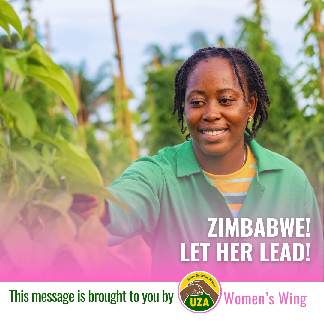 uzalliance's tweet image. Women are the center of #Zimbabwe&apos;s agricultural sector, yet land ownership remains a significant challenge. Before &amp;amp; shortly after independence, 5% of women owned land. UZA aims to empower women with equal access to land &amp;amp; resources, ensuring a good life for every citizen.
