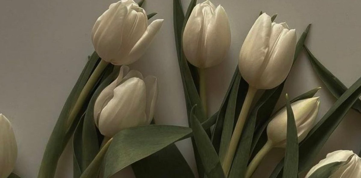 السلام عليكم ورحمة الله وبركاته 
مسسسساء الخيــر 👋🏻🤍..

#لاتنسون أذكاركم ..