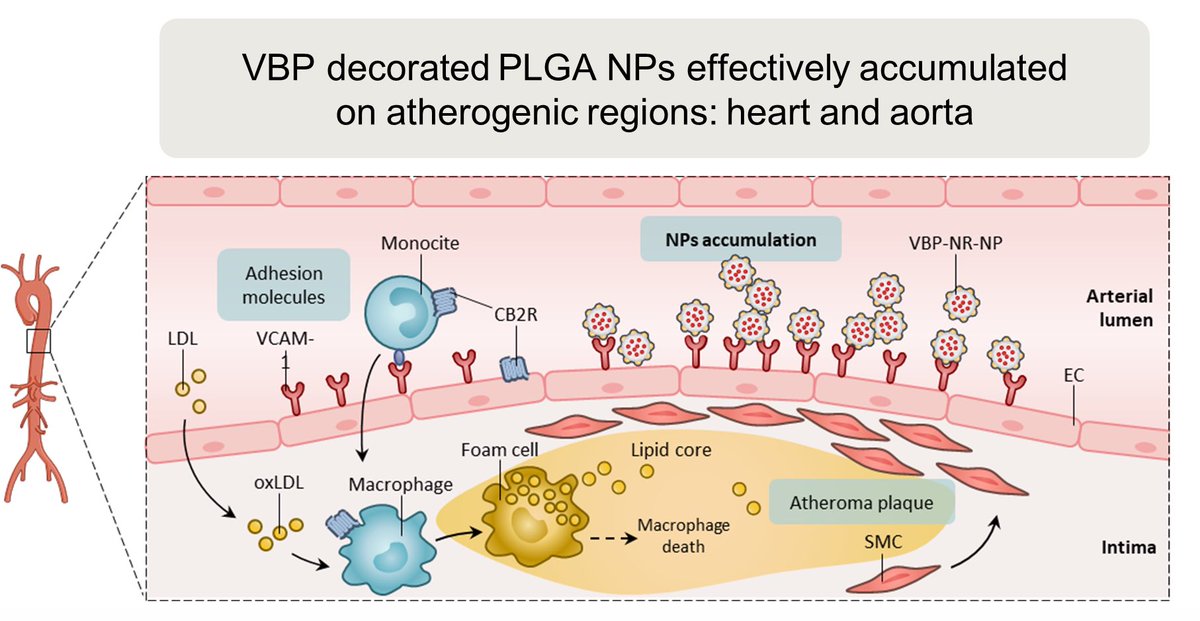 Lucía Martín-Navarro Díaz tweet media