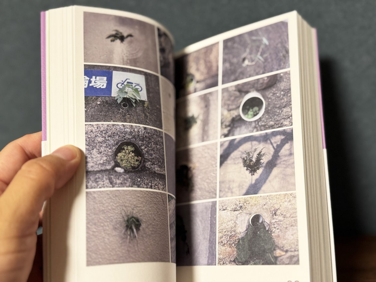 🌿祝・完成🌿】『緑をみる人』（雷鳥社）、ようやく完成しました