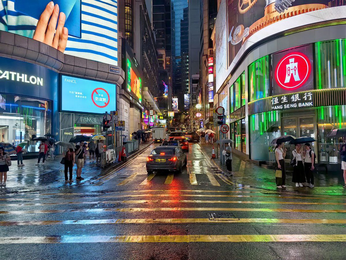 Catherine Edelveis tweet media