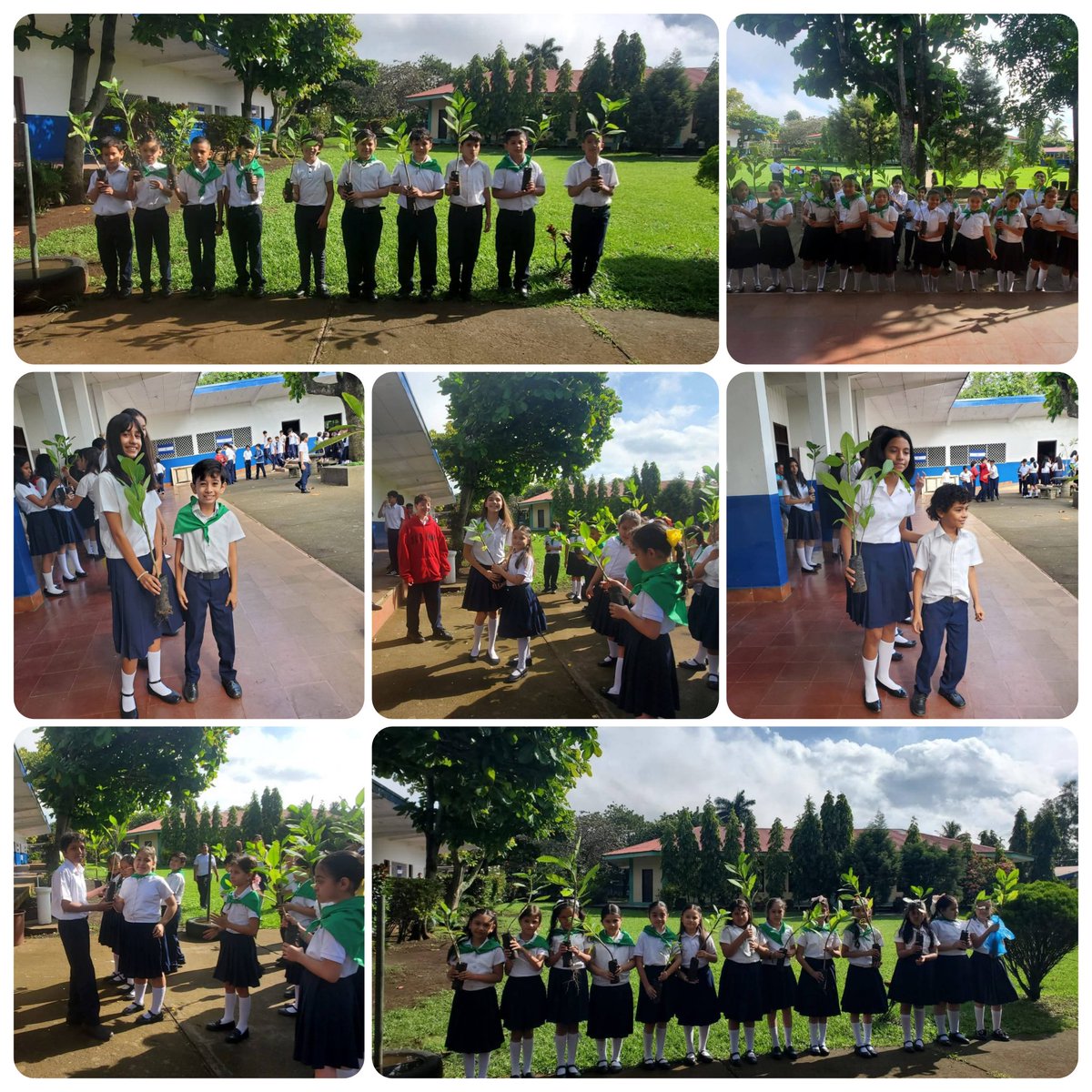 🌿Sembrando Futuro con amor a la Patria.
Estudiantes de Primaria y Secundaria del Centro Educativo Bismarck Martinez, Jinotepe.
Realizaron Jornada de Reforestación con Plantas de Madroño y Sacuanjoche, Símbolo de identidad y orgullo nacional.
#TodosSanJacinto 
#UnidosEnVictorias