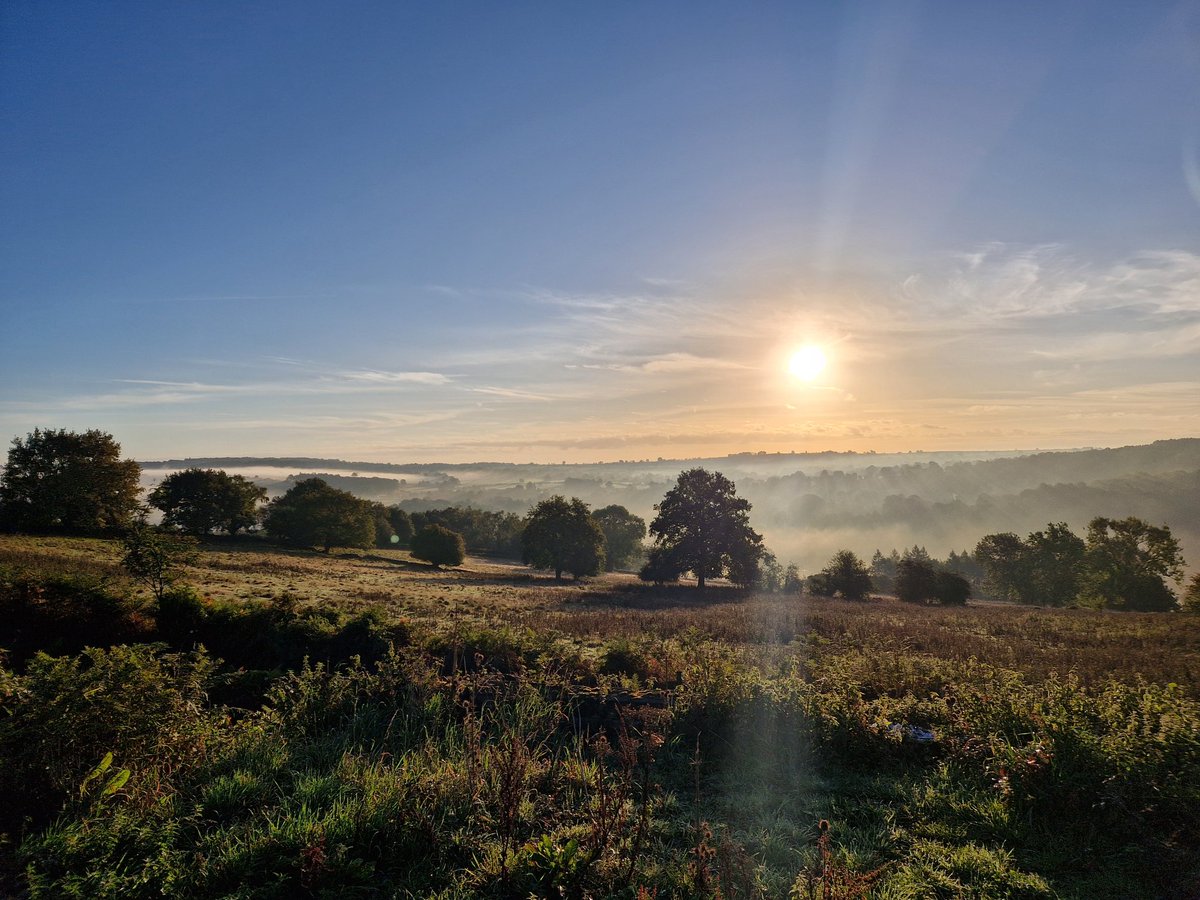 Some sightings from High Leas Farm today - Slow Worm, our 1st Wall Browns of the year (3) and an increasing number of Fungi! A Crossbill over, good numbers of Bullfinch &amp; Siskin, 2 Sparrowhawk, Kestrel &amp; a small skein of Pink Feet (c15) south <a href="/Derbyshirebirds/">Derbyshire Ornithological Society (DOS)</a> <a href="/DerbysWildlife/">Derbyshire Wildlife Trust</a>