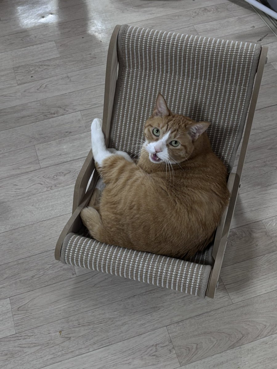 당근 하기 30분 전 갑자기 쓰는..어이없