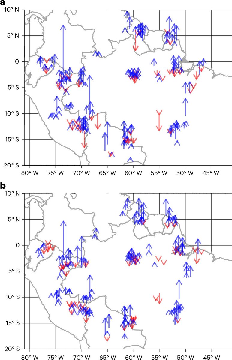 Big trees are on the rise.
30 years of Amazon forest measurements by RAINFOR partners show that, so far, any impact of #climatechange on forests and large trees have been more than mitigated by the positive effects of increased resources.
nature.com/articles/s4147…