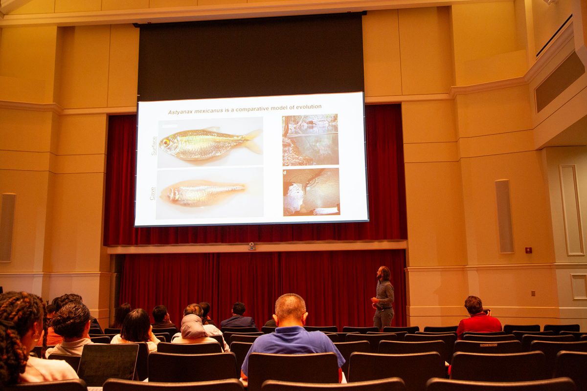 FSU Arts & Sciences tweet media