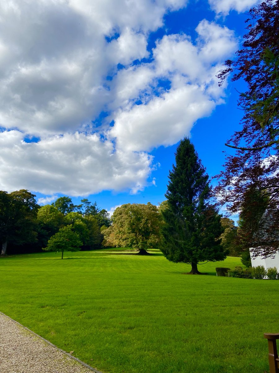 A wonderful season of the year. #treeclub