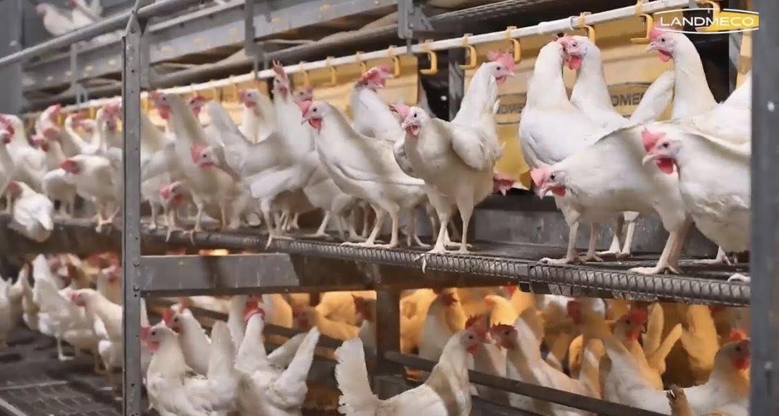 PE Services, Jola Engineering Ltd. and Eurowash tweet media