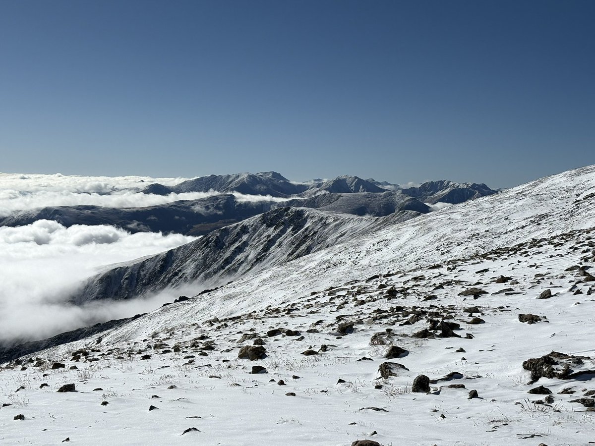 Maseroho's tweet image. Never stop