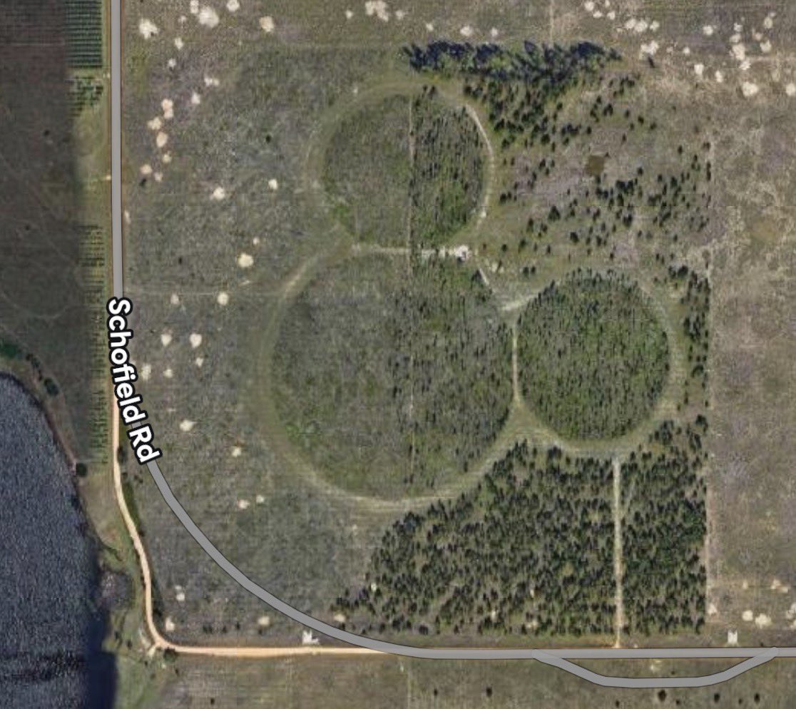 Showcase of Wishes tweet media