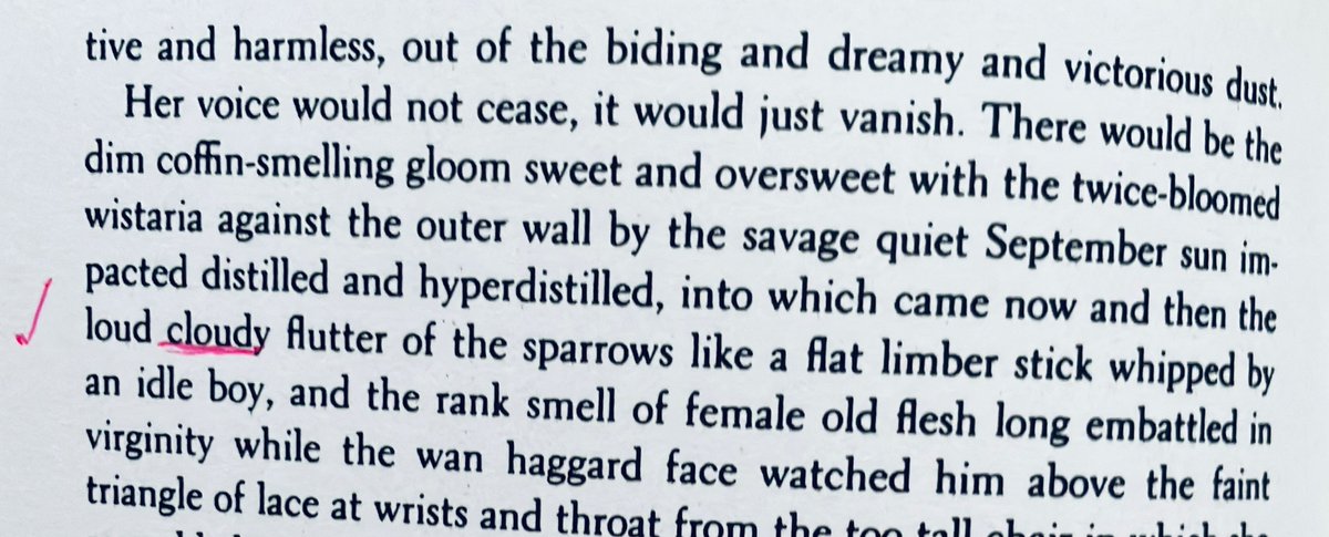 HeyJudeNotJudy (Jude Hopkins) (@heyjudenotjudy) on Twitter photo It's Faulkner's birthday, so I'll post again one of my favorite passages from"Absalom, Absalom!" in which he describes the sound of sparrows as a “loud cloudy flutter.” The use of “cloudy” is pure genius. And that’s why we read the masters (or should). It's Faulkner's birthday, so I'll post again one of my favorite passages from"Absalom, Absalom!" in which he describes the sound of sparrows as a “loud cloudy flutter.” The use of “cloudy” is pure genius. And that’s why we read the masters (or should).