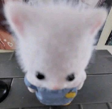 저 오늘 무려!!!! 사문 인강을 두개나 들었어요ㅎㅎㅎㅎㅎ