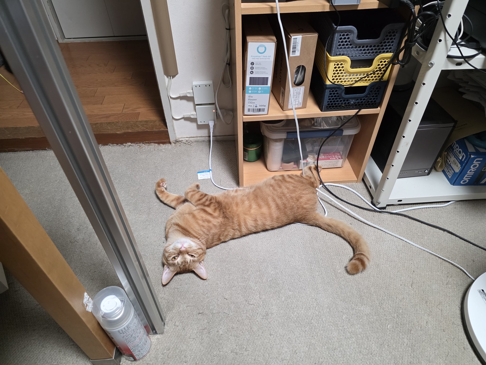 えむねふぉ🐱😺😼🙀 on X: 