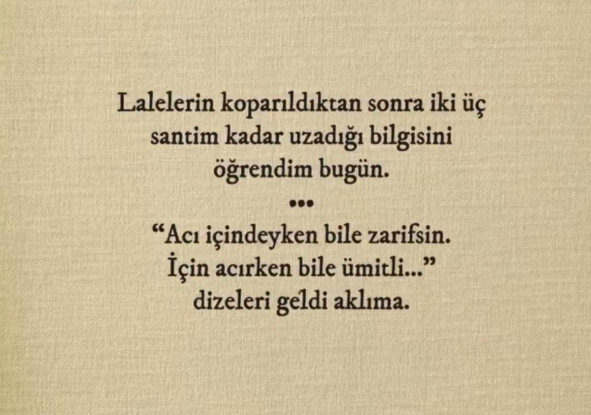 Ardıç Kuşu (@ardiskusu) on Twitter photo 