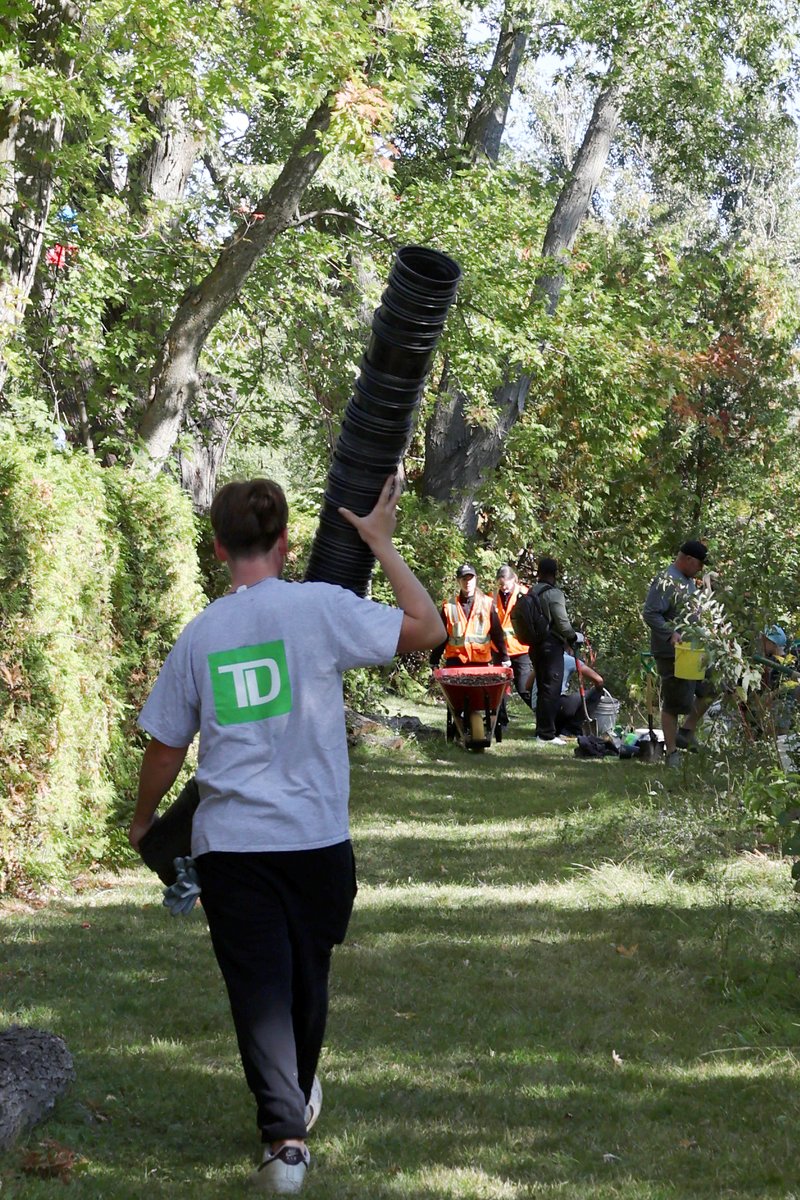OtonabeeC's tweet image. Otonabee Conservation hosted a TD Tree Days event last weekend at @RiverviewZoo! We are so appreciative of the 62 volunteers that planted 300 native trees and shrubs  to naturalize the shoreline of the Otonabee River.
#TDTreeDays