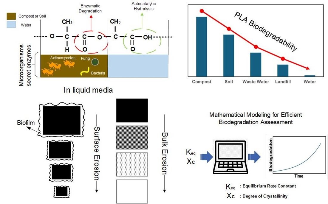 New Publication Alert 🚨

Excited to share our latest review: “A Comparative Review on Biodegradation of Poly(Lactic Acid) in Soil, Compost, Water, and Wastewater Environments: Incorporating Mathematical Modeling Perspectives.”

🔎Read more: mdpi.com/2673-9623/5/1/1