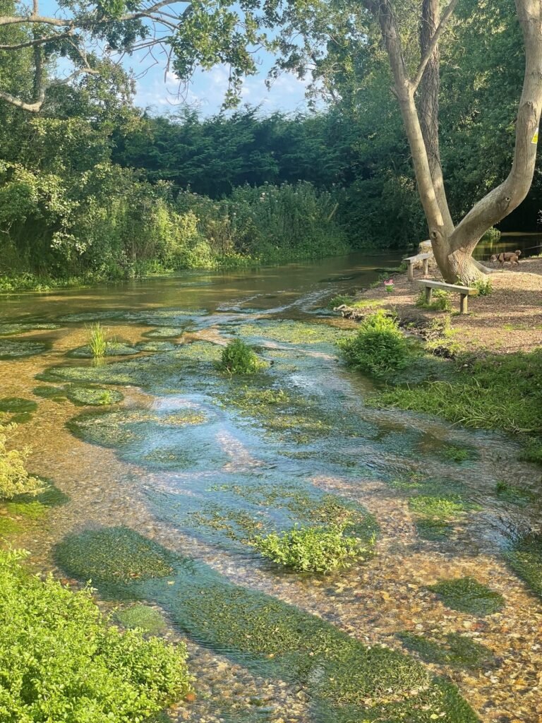 CCRI_UK's tweet image. What Works in Environmental Citizen Science?❔🧑🔬
The @CCRI_UK has identified lessons that could help ensure the success of other citizen science initiatives.
ccri.ac.uk/news/09/2025/w…
#CitizenScience #CoDesign #Rivers #WaterQuality
@SouthernWater 🏞️