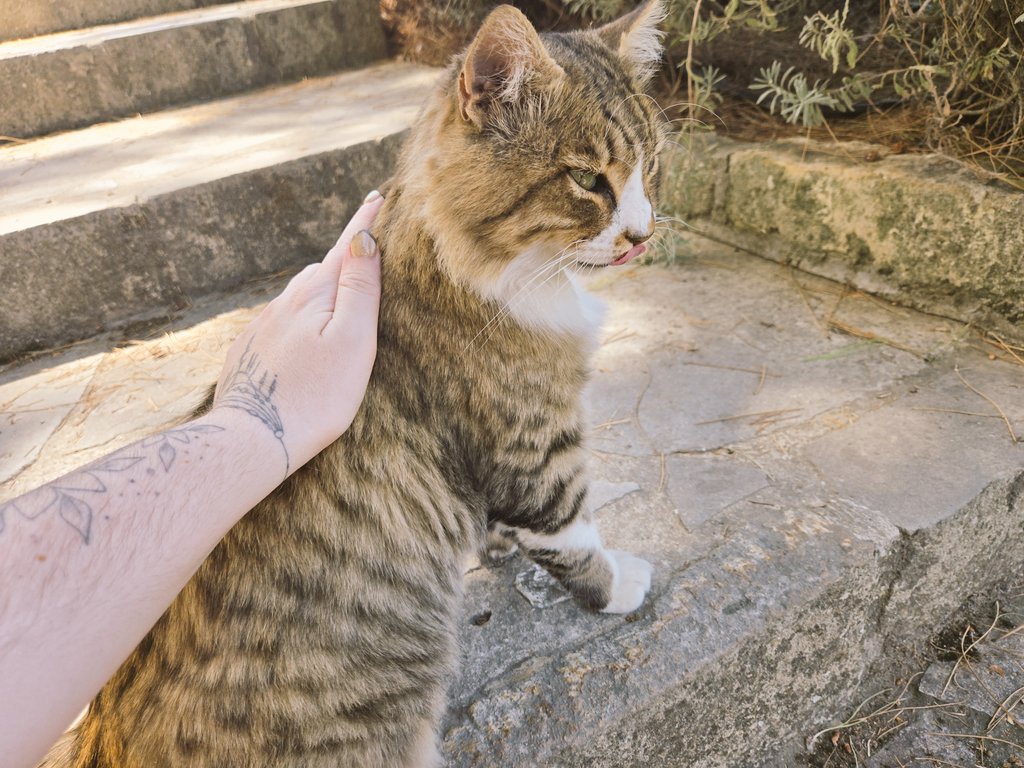 nimmy ✨ absent tweet media