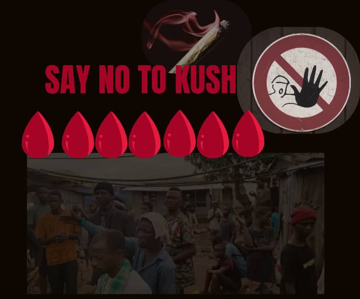 AdusonIsrael's tweet photo. kush has 𝐛𝐞𝐜𝐨𝐦𝐞 𝐚𝐧 𝐞𝐩𝐢𝐝𝐞𝐦𝐢𝐜, 𝐚𝐧𝐝 𝐭𝐡𝐞 𝐮𝐧𝐦𝐞𝐚𝐬𝐮𝐫𝐞𝐝 𝐛𝐥𝐨𝐨𝐝 𝐰𝐚𝐬𝐭𝐞𝐝 𝐚𝐫𝐞 𝐢𝐧 𝐭𝐡𝐞 𝐡𝐚𝐧𝐝𝐬 𝐨𝐟 𝐭𝐡𝐨𝐬𝐞 𝐦𝐚𝐤𝐢𝐧𝐠 𝐟𝐨𝐫𝐭𝐮𝐧𝐞 𝐨𝐮𝐭 𝐨𝐟 𝐢𝐭. https://t.co/bwWzxmIZVY
