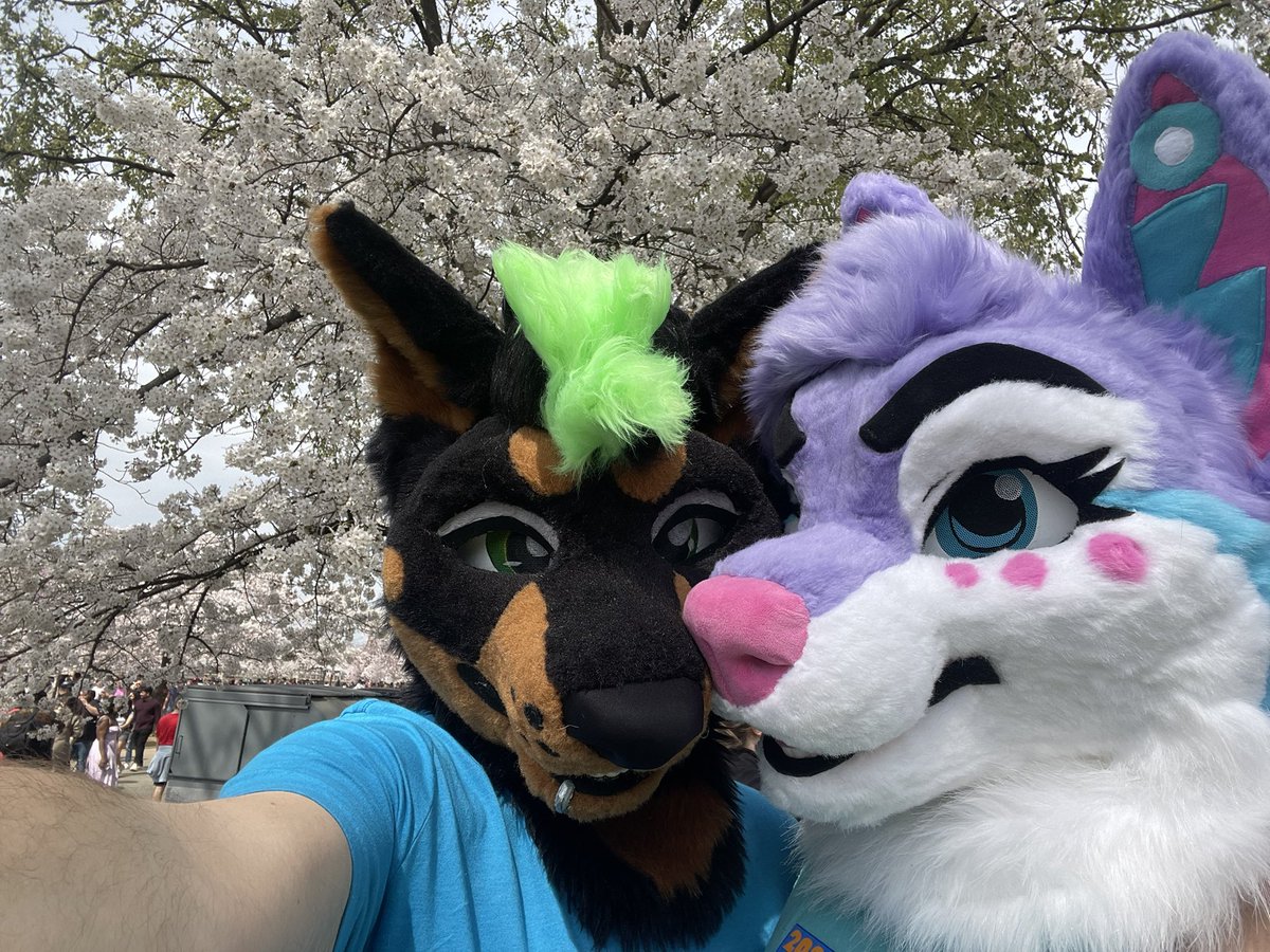 Cursed Dog and Spicy Celestial tweet media