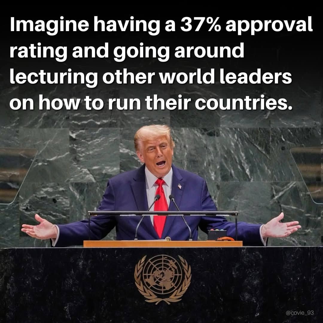 EmpowerYin_Yang's tweet image. 