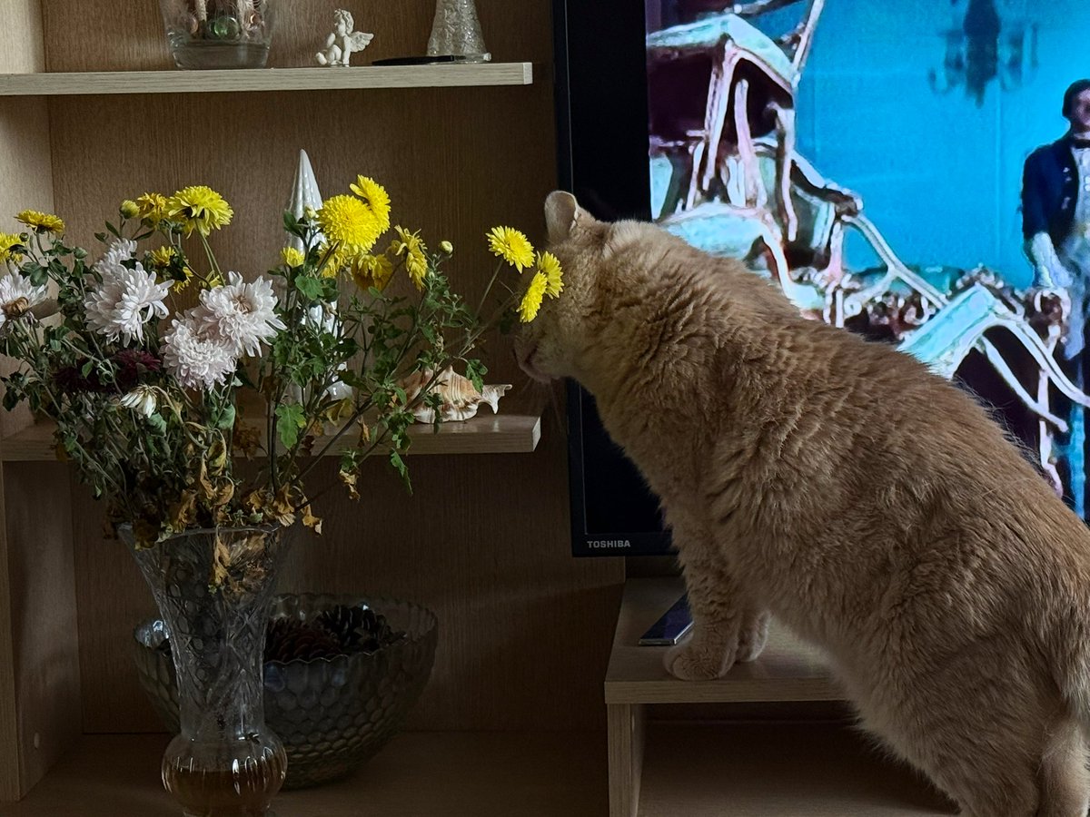 Коллеги, обед
