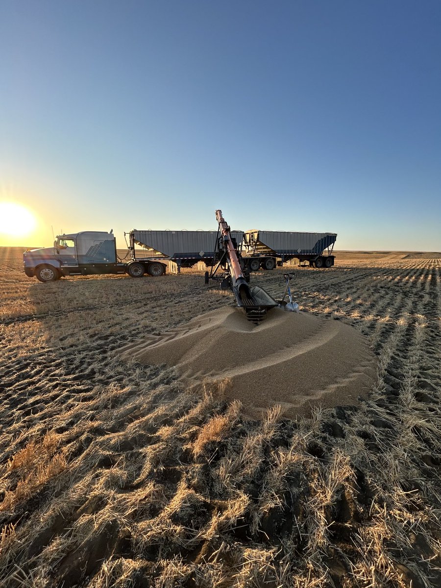 You gotta start the day doing something