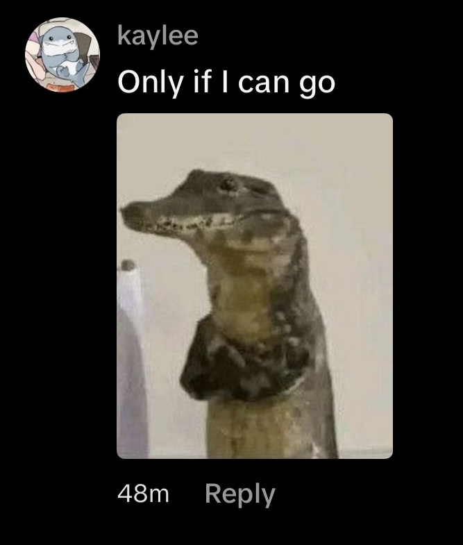 our bands hate me specifically