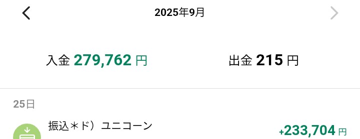 今月4回目の海外fxブローカーからの銀行出金！20万円超えだが問題なし！申請の次の日着金で、安定！今度は50万くらい出金しようかなと計画中