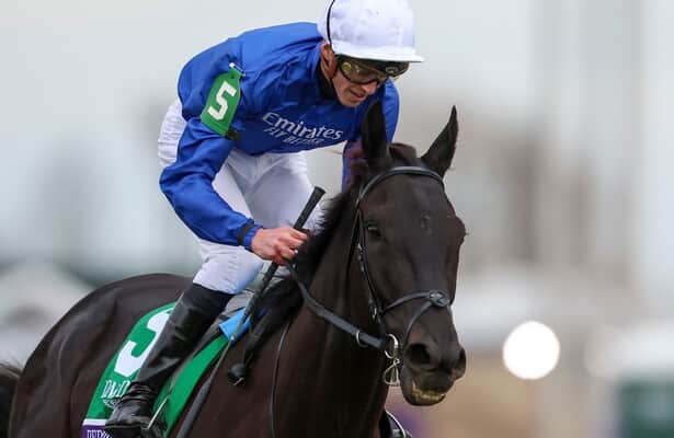 Division rankings: Rebel's Romance, making a U.S. cameo appearance, has <a href="/DoctorDerby/">Chip Gehrke</a> rethinking his Eclipse votes.

horseracingnation.com/blogs/Doctor/D…

📸: Wendy Wooley / Eclipse Sportswire