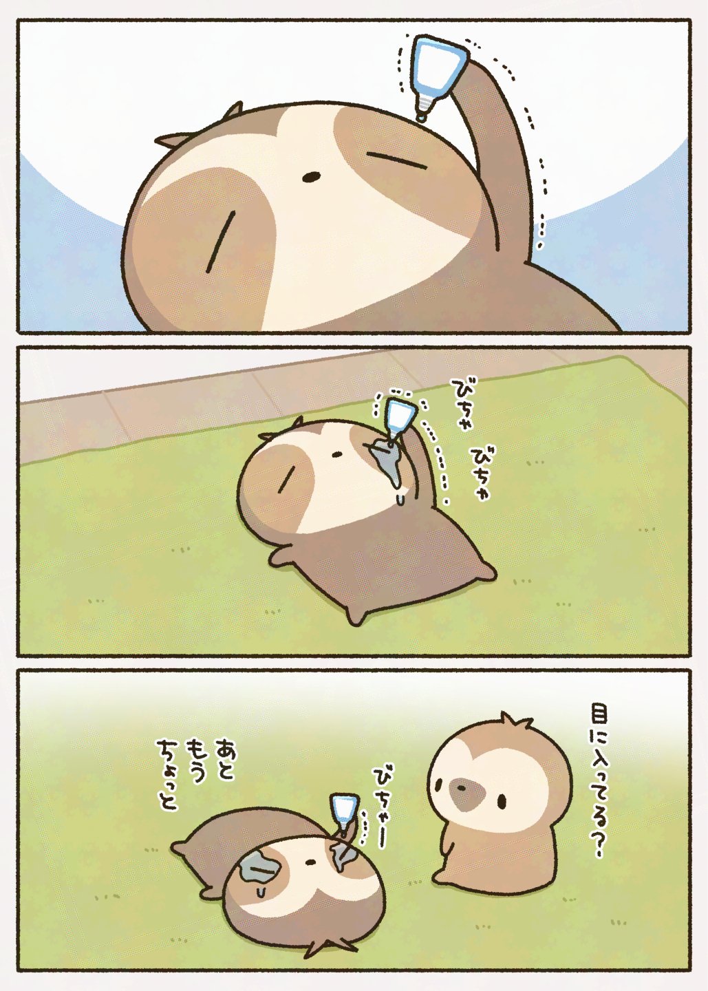 𝕏 ぽんすけ🐼🐻‍❄️ 𝕏 (@ponsuke_jp) / X