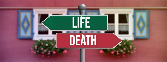 The Bible speaks a lot about life and death. But did you know that our new life in Christ still involves death?
open.substack.com/pub/avapenning…