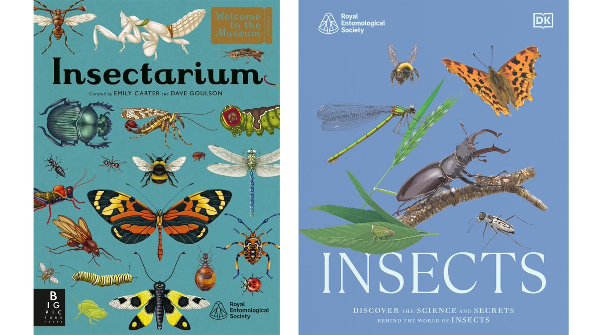 #Insectarium &amp; #RESInsects are must-haves for anyone who appreciates the little things that run the world. 

Check out these two beautiful books we've partner published with <a href="/dkbooks/">DK Books UK</a> &amp; <a href="/bonnierbooks_uk/">Bonnier Books UK</a> 🔽
royensoc.co.uk/shop-merchandi…

<a href="/EmilyCarterLdn/">EMILY CARTER</a> <a href="/DaveGoulson/">Dave Goulson</a>