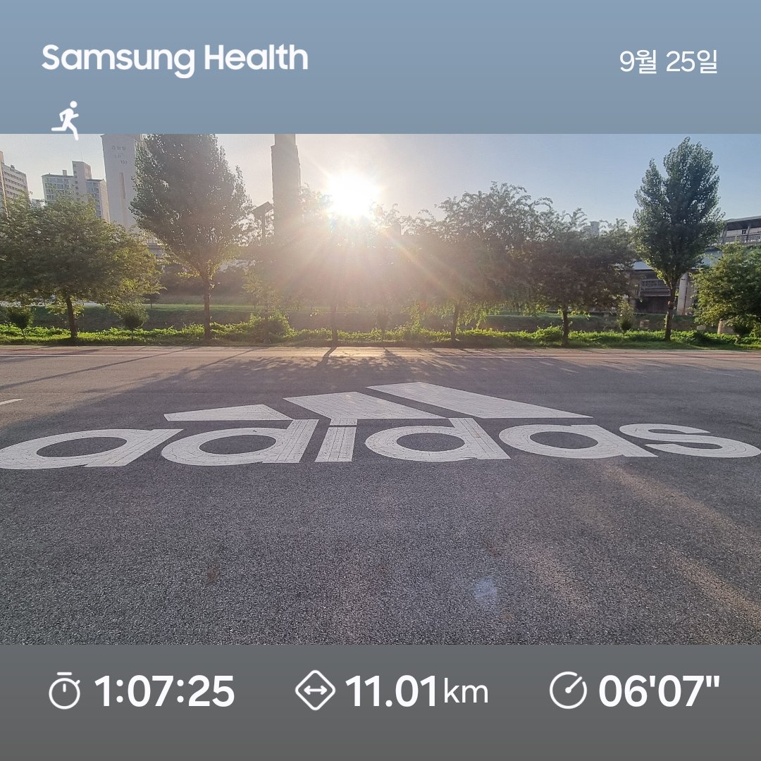 11km 천천히 뛰기 좋아요!~~