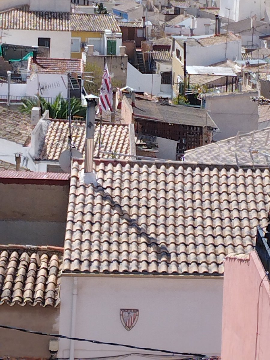 Os lo podéis creer o no, pero yendo a visitar el Castillo de la Atalaya en Villena (Alicante) he visto esta casa con el escudo del Athletic en la pared y la bandera ondeando en el tejado.

Sea quien sea quien viva en esa casa, HONOR.